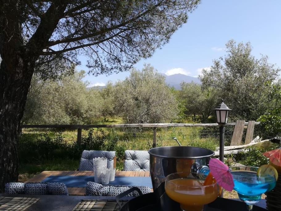 Villa Segreta, Mount Etna Belpasso Buitenkant foto